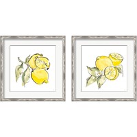 Framed 'Lemon Still Life 2 Piece Framed Art Print Set' border=