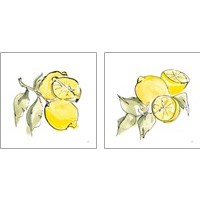 Framed 'Lemon Still Life 2 Piece Art Print Set' border=