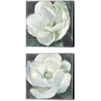 Framed 'Magnolia Sage 2 Piece Canvas Print Set' border=