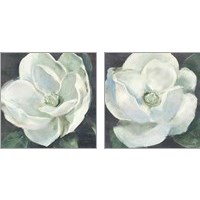 Framed 'Magnolia Sage 2 Piece Art Print Set' border=