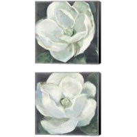 Framed 'Magnolia Sage 2 Piece Canvas Print Set' border=