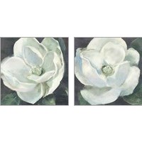 Framed Magnolia Sage 2 Piece Art Print Set