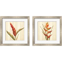 Framed 'Tropical Garden 2 Piece Framed Art Print Set' border=