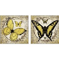 Framed 'Honey Bee Butterfly 2 Piece Art Print Set' border=