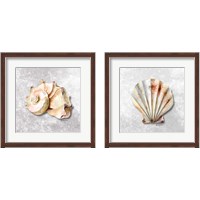 Framed 'Shell Collecto 2 Piece Framed Art Print Set' border=
