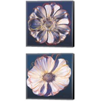 Framed Flower Pop Pastel 2 Piece Canvas Print Set