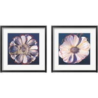 Framed 'Flower Pop Pastel 2 Piece Framed Art Print Set' border=