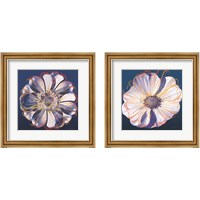 Framed 'Flower Pop Pastel 2 Piece Framed Art Print Set' border=