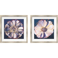 Framed 'Flower Pop Pastel 2 Piece Framed Art Print Set' border=