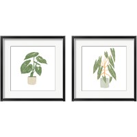 Framed 'Philodendron Gloriosum 2 Piece Framed Art Print Set' border=