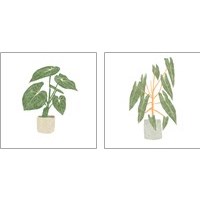 Framed 'Philodendron Gloriosum 2 Piece Art Print Set' border=
