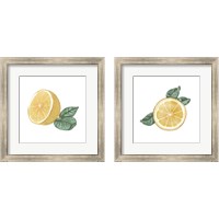 Framed Citrus Limon 2 Piece Framed Art Print Set