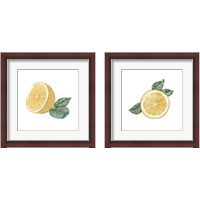 Framed 'Citrus Limon 2 Piece Framed Art Print Set' border=