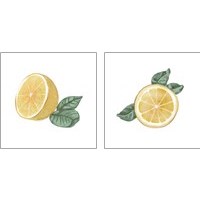 Framed 'Citrus Limon 2 Piece Art Print Set' border=