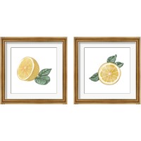 Framed 'Citrus Limon 2 Piece Framed Art Print Set' border=