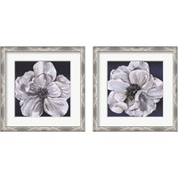Framed 'Blue & White Floral 2 Piece Framed Art Print Set' border=
