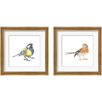 Framed 'Songbird 2 Piece Framed Art Print Set' border=