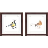 Framed Songbird 2 Piece Framed Art Print Set
