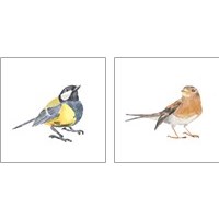 Framed 'Songbird 2 Piece Art Print Set' border=