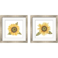 Framed 'Single Sunflower 2 Piece Framed Art Print Set' border=