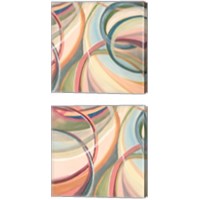 Framed Overlapping Rings 2 Piece Canvas Print Set