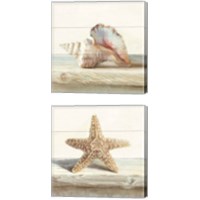 Framed Driftwood Shell 2 Piece Canvas Print Set