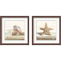 Framed Driftwood Shell 2 Piece Framed Art Print Set