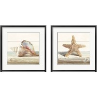 Framed Driftwood Shell 2 Piece Framed Art Print Set