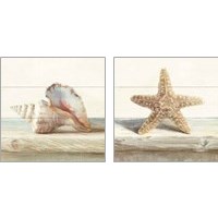 Framed 'Driftwood Shell 2 Piece Art Print Set' border=