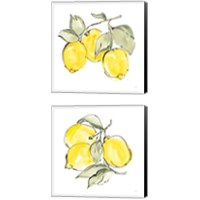 Framed 'Lemons 2 Piece Canvas Print Set' border=