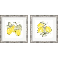 Framed 'Lemons 2 Piece Framed Art Print Set' border=
