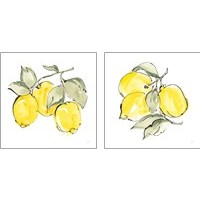 Framed 'Lemons 2 Piece Art Print Set' border=