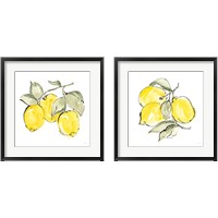 Framed Lemons 2 Piece Framed Art Print Set