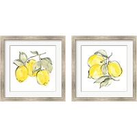 Framed 'Lemons 2 Piece Framed Art Print Set' border=