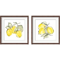 Framed Lemons 2 Piece Framed Art Print Set