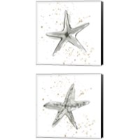 Framed 'Starfish  2 Piece Canvas Print Set' border=