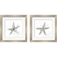 Framed 'Starfish  2 Piece Framed Art Print Set' border=