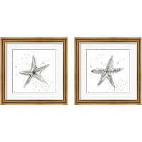 Framed 'Starfish  2 Piece Framed Art Print Set' border=