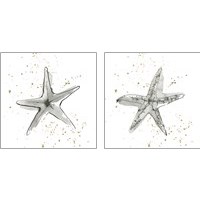 Framed 'Starfish  2 Piece Art Print Set' border=