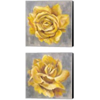 Framed Yellow Roses 2 Piece Canvas Print Set