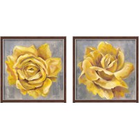 Framed Yellow Roses 2 Piece Framed Art Print Set