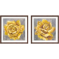 Framed 'Yellow Roses 2 Piece Framed Art Print Set' border=