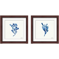 Framed 'Deep Sea Botanical 2 Piece Framed Art Print Set' border=