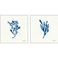 Framed 'Deep Sea Botanical 2 Piece Art Print Set' border=
