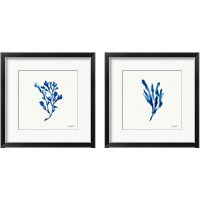 Framed Deep Sea Botanical 2 Piece Framed Art Print Set