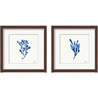 Framed Deep Sea Botanical 2 Piece Framed Art Print Set