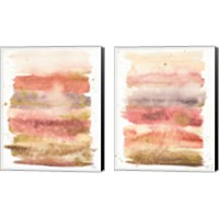 Framed 'Desert Blooms Abstract 2 Piece Canvas Print Set' border=