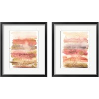 Framed Desert Blooms Abstract 2 Piece Framed Art Print Set