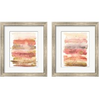 Framed 'Desert Blooms Abstract 2 Piece Framed Art Print Set' border=