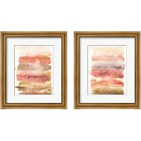 Framed Desert Blooms Abstract 2 Piece Framed Art Print Set
